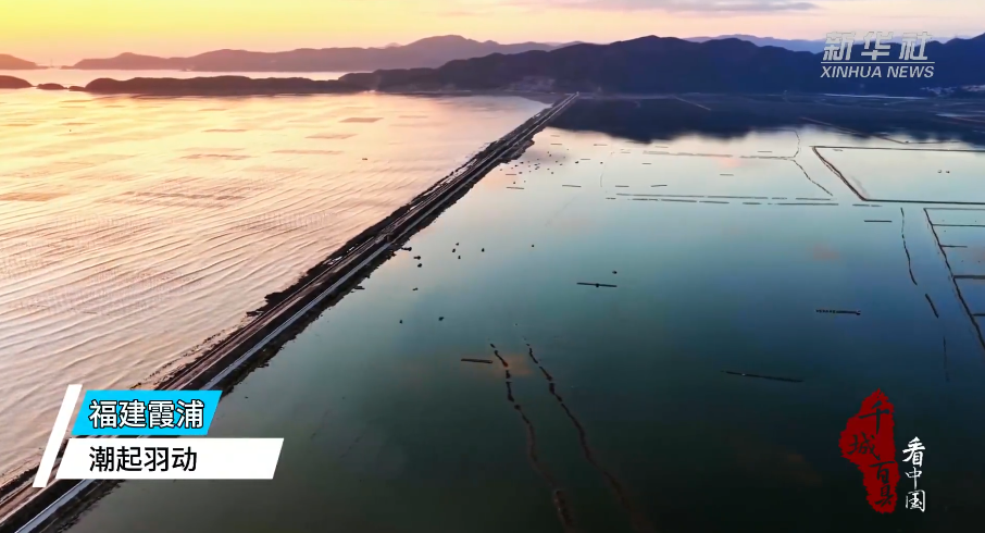 视频 | 福建霞浦：潮起羽动