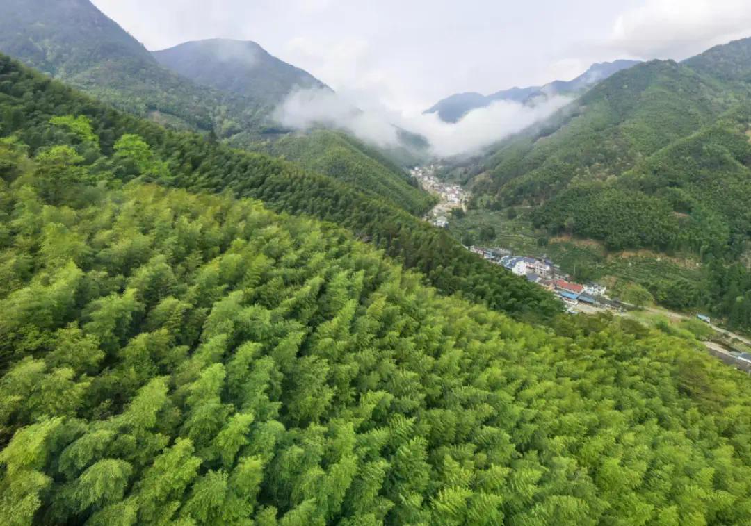 绿色产业迭代升级 兴林富民步履不停——探索福建“四库”联动、绿富同兴的密码