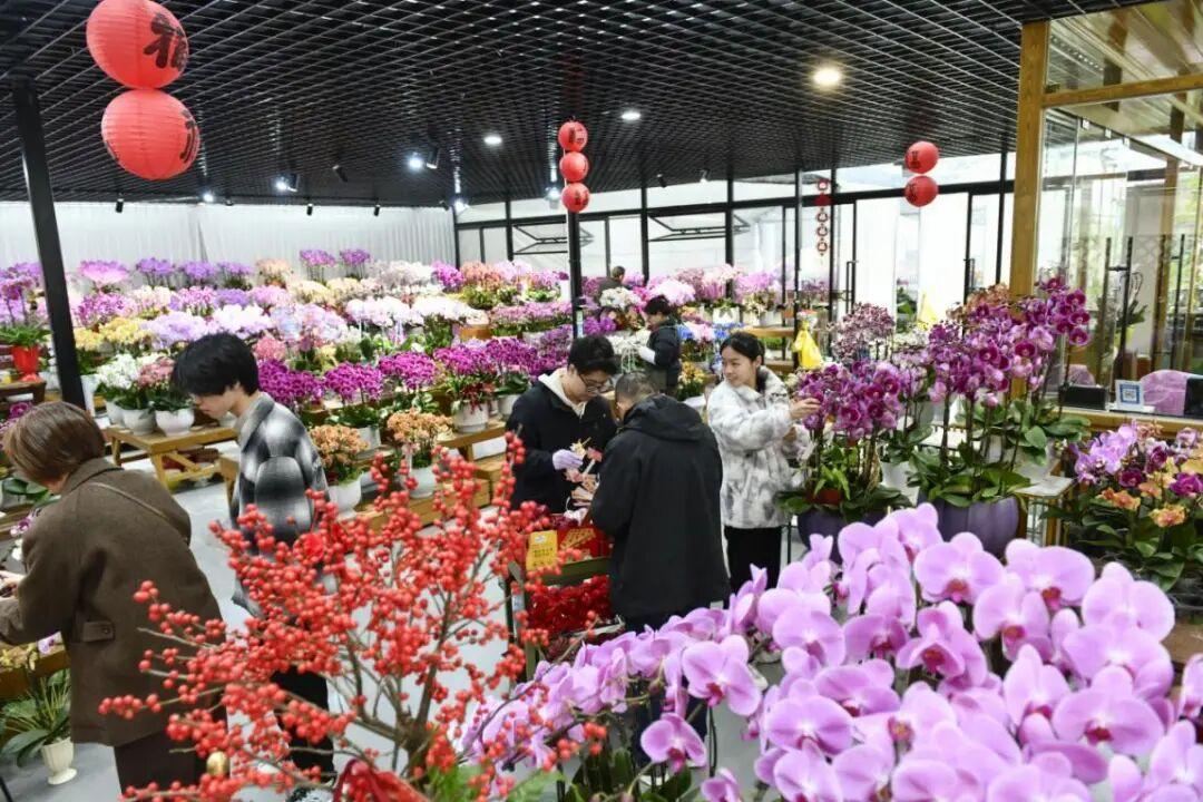 绿色产业迭代升级 兴林富民步履不停——探索福建“四库”联动、绿富同兴的密码