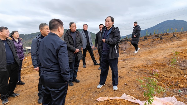 福建省林业局刘亚圣副局长带队赴龙岩市开展服务基层工作