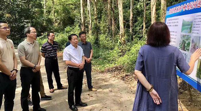 省林业局领导赴漳州指导国有林场建设及松材线虫病疫情防控工作