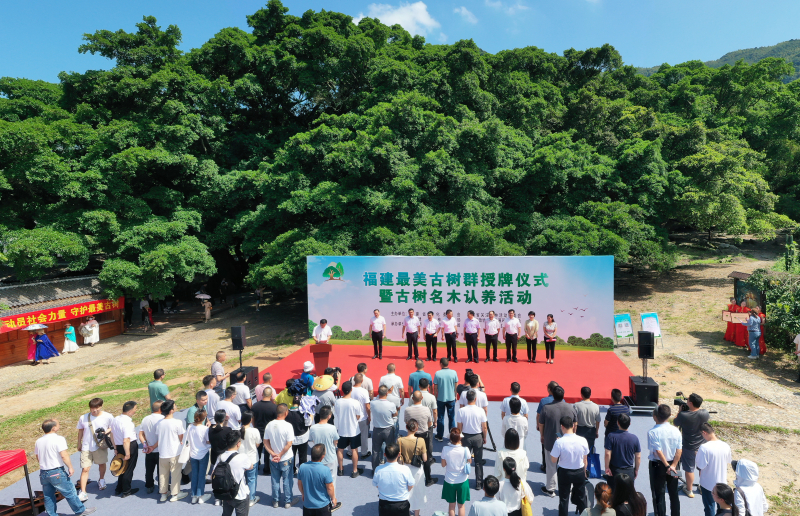 福建最美古树群授牌仪式暨古树名木认养活动在霞浦举行