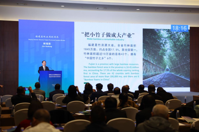 福建省林业局受邀在首届以竹代塑国际研讨会上作报告