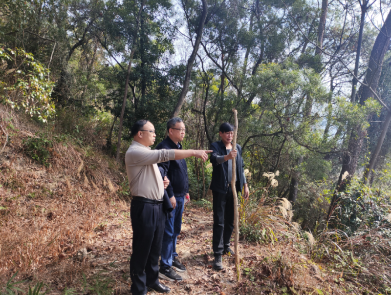 福建省林业局领导赴福州植物园指导松材线虫病疫情防控工作