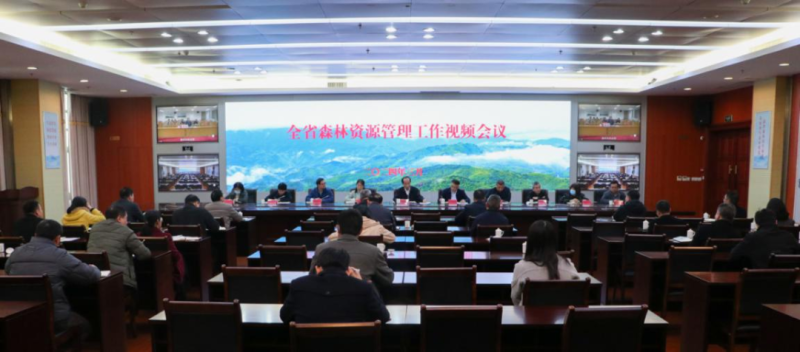 福建省林业局召开全省森林资源管理工作视频会议