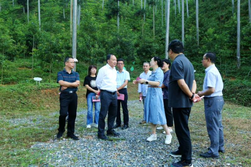 福建省林业局领导赴三明调研指导营造林等工作