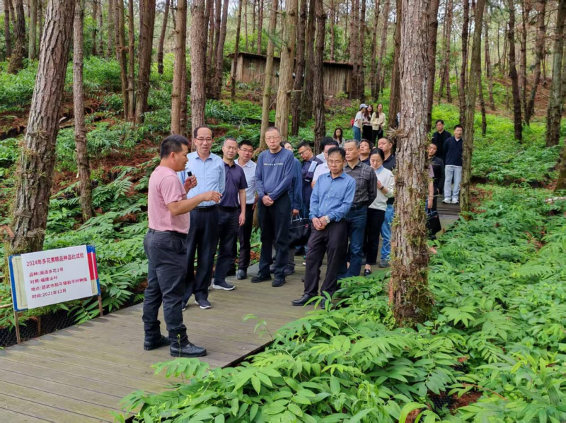 福建省林业局开展全省森林可持续经营技术指导服务活动