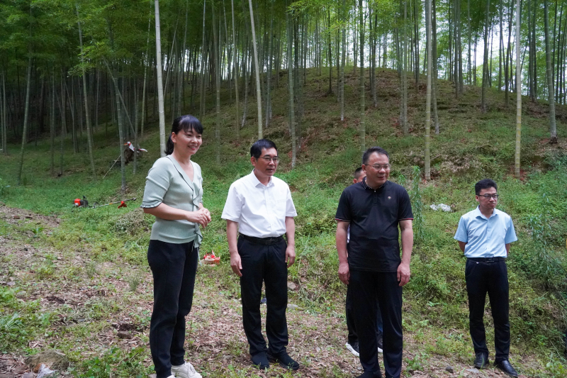 福建省林业局领导赴三明调研