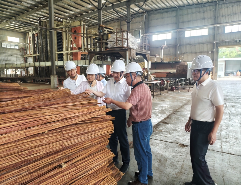 福建省林业局领导赴龙岩市调研指导林业工作