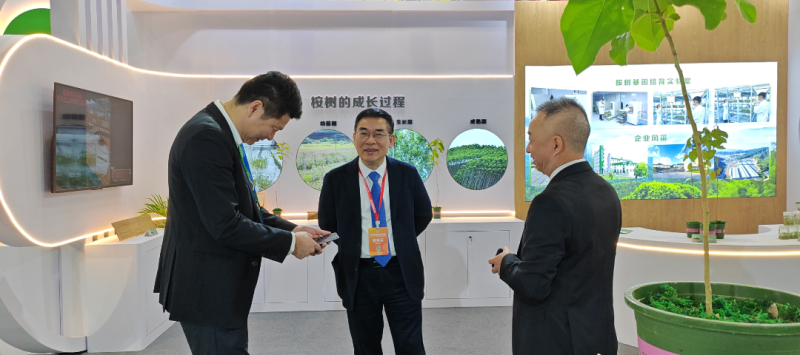 福建省林业局组团参加2025年世界林木业大会