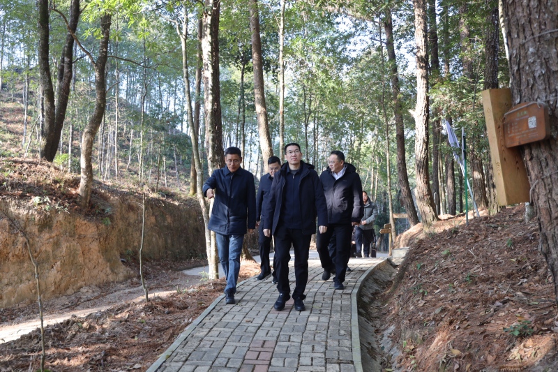 福建省林业局领导赴三明市指导国有林场工作