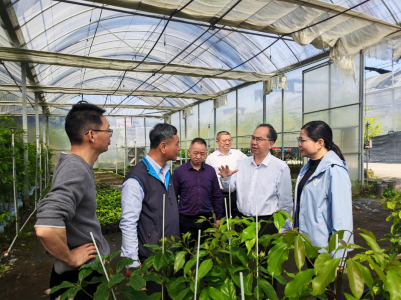 福建省林业局领导赴龙岩市指导推进“共富林场”建设及产业发展工作