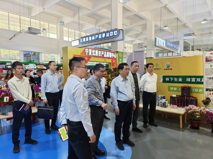 福建省林业局领导赴莆田和漳州调研