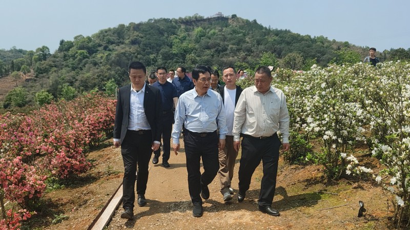 福建省林业局领导赴罗源调研