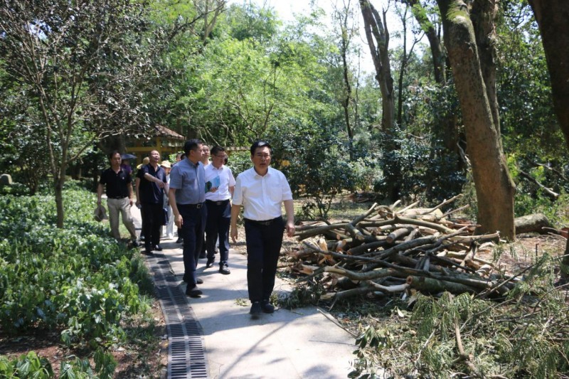 福建省林业局领导到福州植物园调研指导灾后恢复工作