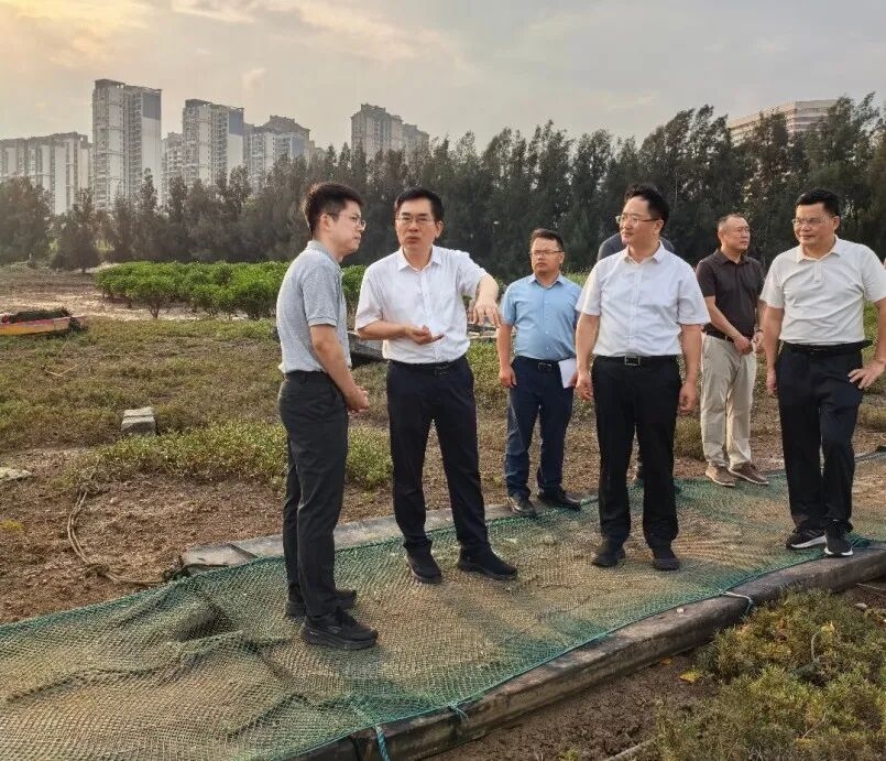 福建省林业局领导到泉州调研指导林业工作