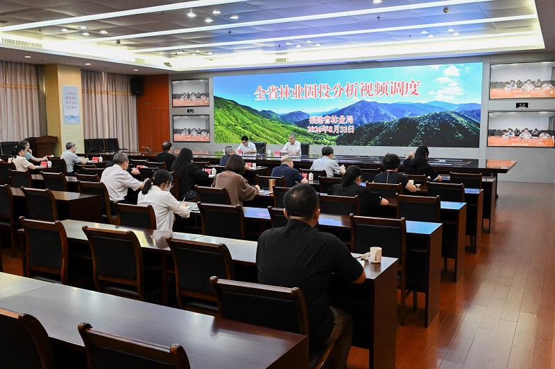 福建省林业局开展全省林业固投分析视频调度