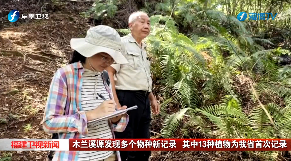 视频 | 木兰溪源发现多个物种新记录 其中13种植物为福建省首次记录