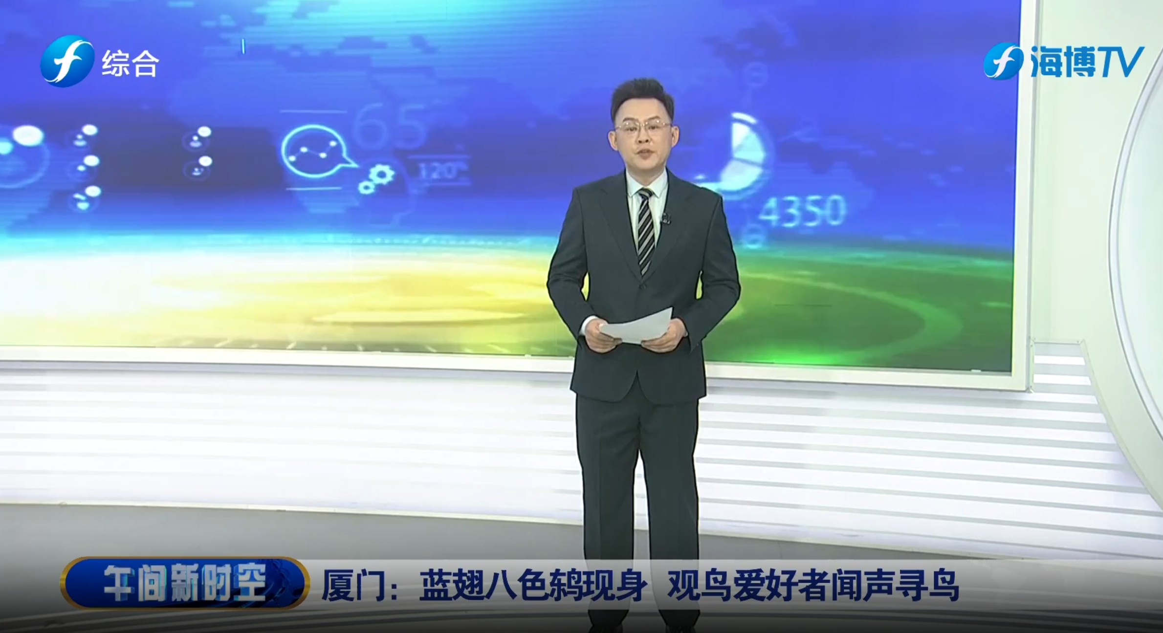 视频 | 厦门：蓝翅八色鸫现身 观鸟爱好者闻声寻鸟