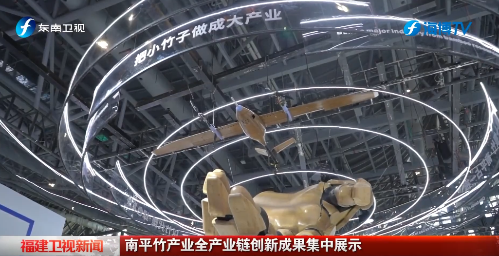 视频 | 南平竹产业全链成果集中展示