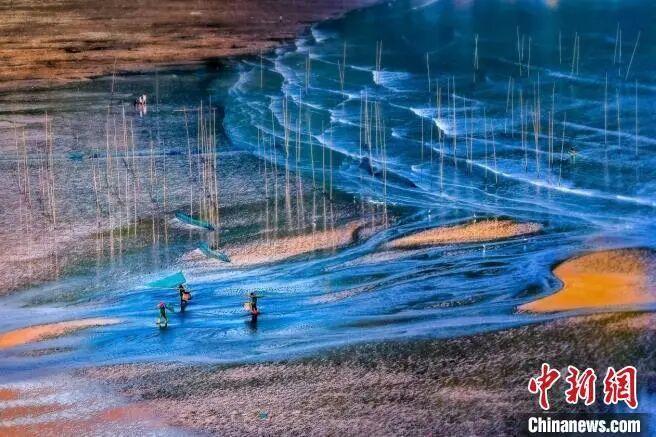 图片