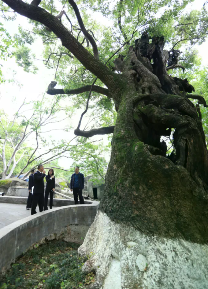 微信图片_202304141556521.jpg 图片