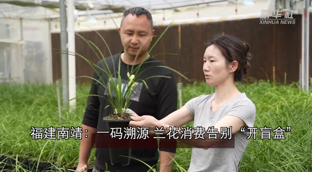 福建南靖：一码溯源 兰花消费告别“开盲盒”