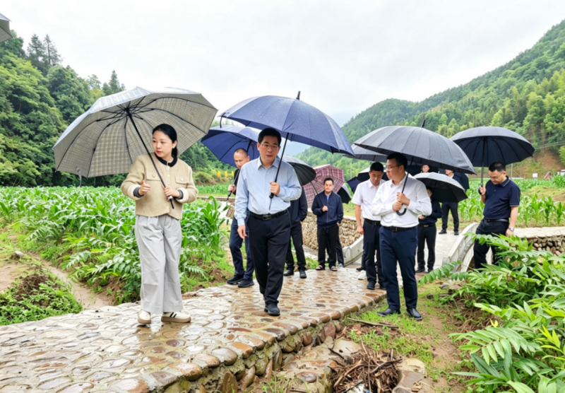 福建省林业局领导赴南平市调研