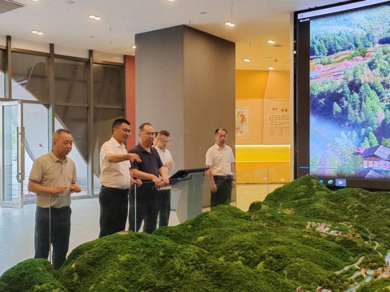 福建省林业局领导赴寿宁县调研林业特色产业发展工作