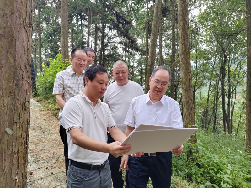 福建省林业局领导深入基层指导共享职工之家创建及林下特色产业发展调研活动